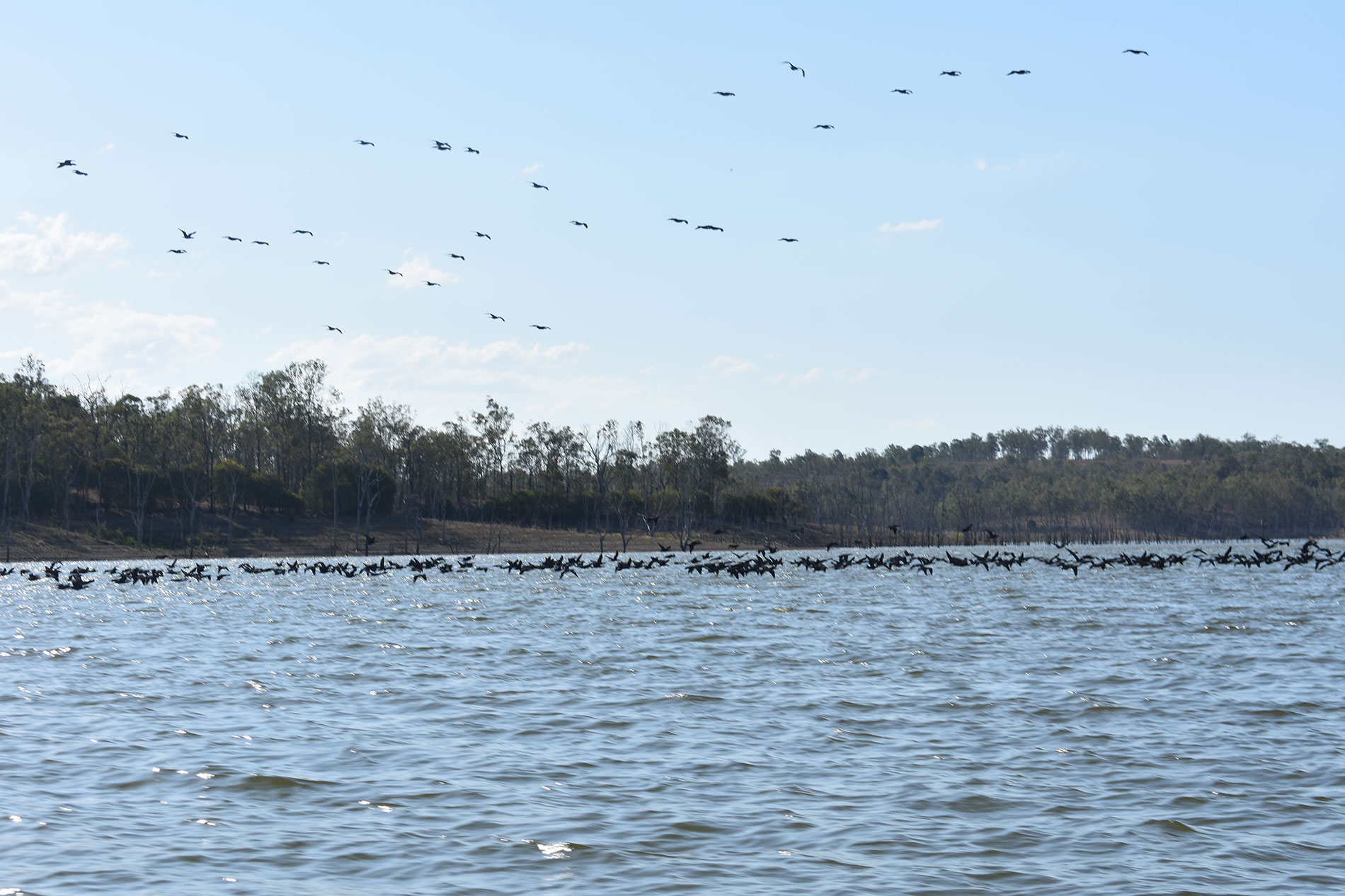 The Mondy Man Fishing Charters on Lake Monduran